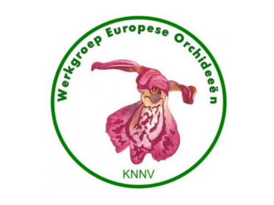 Lees meer over het artikel 29 februari 2020: ledenbijeenkomst Werkgroep Europese Orchideeën