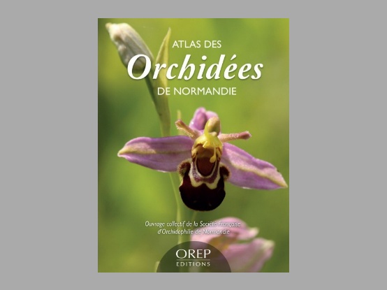 Lees meer over het artikel Boekbespreking : “Atlas des orchidées de Normandie”